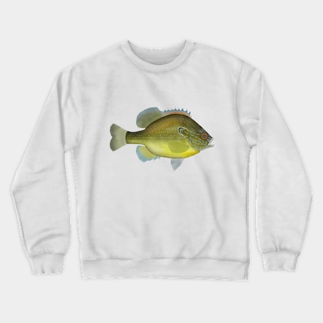 Dollar Sunfish Crewneck Sweatshirt by FishFolkArt